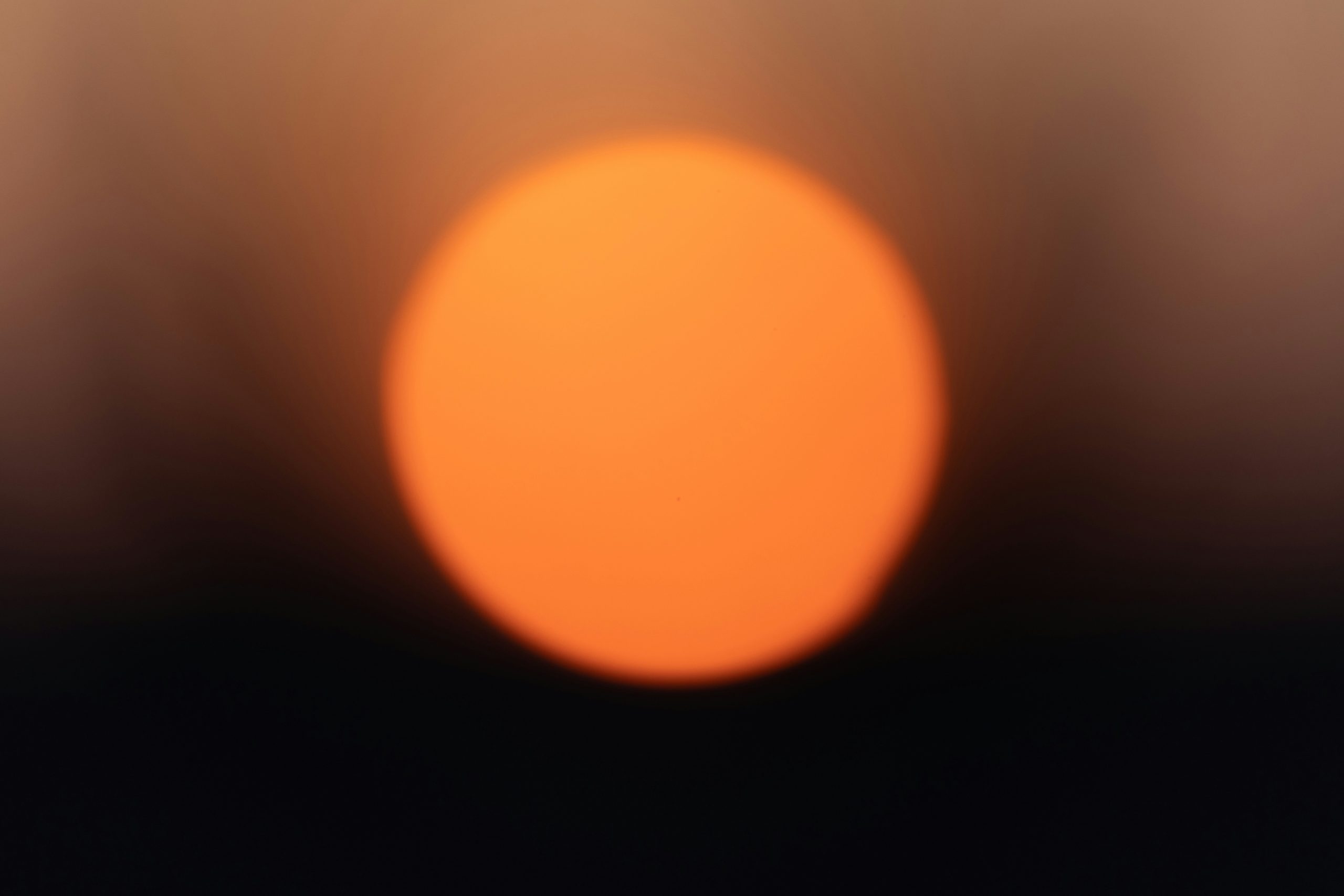 Canicule(s), et après ?